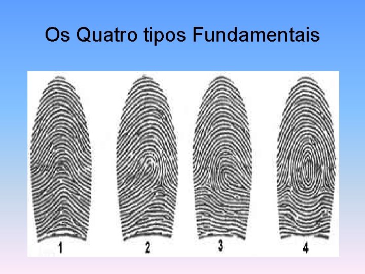 Os Quatro tipos Fundamentais 