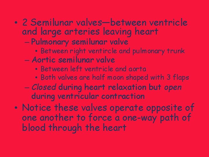  • 2 Semilunar valves—between ventricle and large arteries leaving heart – Pulmonary semilunar