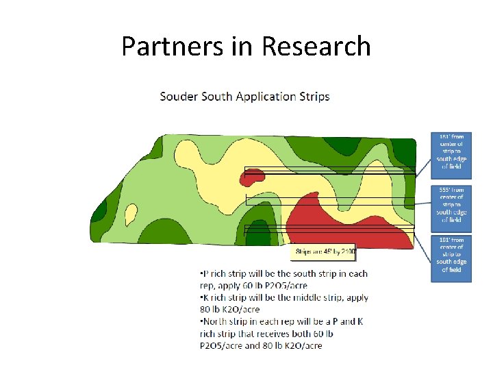 Partners in Research 