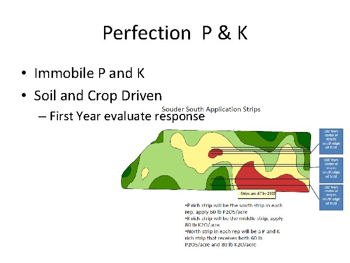 Perfection P & K • Immobile P and K • Soil and Crop Driven