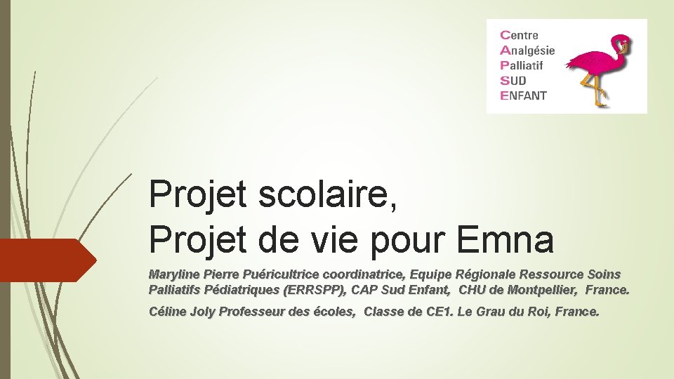 Projet scolaire, Projet de vie pour Emna Maryline Pierre Puéricultrice coordinatrice, Equipe Régionale Ressource