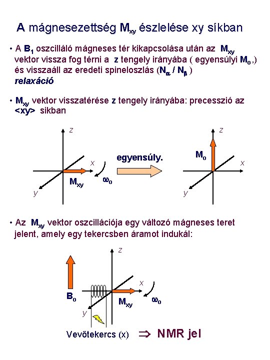 A mágnesezettség Mxy észlelése xy síkban • A B 1 oszcilláló mágneses tér kikapcsolása