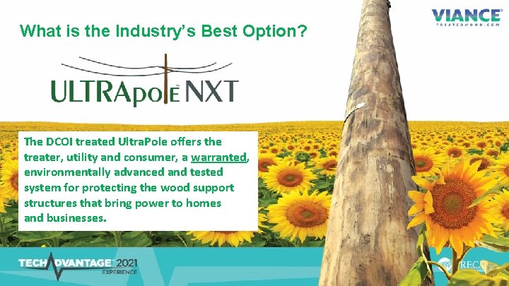 What is the Industry’s Best Option? The DCOI treated Ultra. Pole offers the treater,