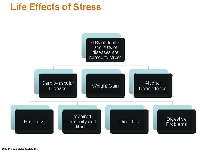Life Effects of Stress 40% of deaths and 70% of diseases are related to