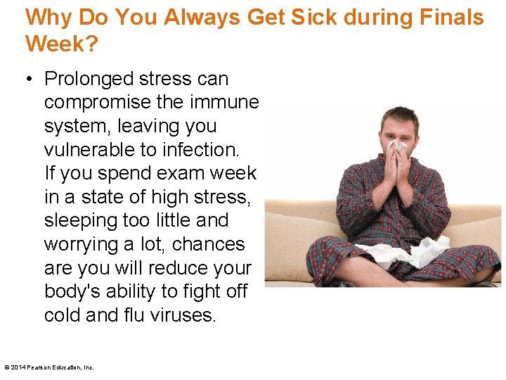 Why Do You Always Get Sick during Finals Week? • Prolonged stress can compromise