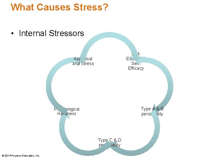 What Causes Stress? • Internal Stressors Self. Esteem & Self. Efficacy Appraisal and Stress