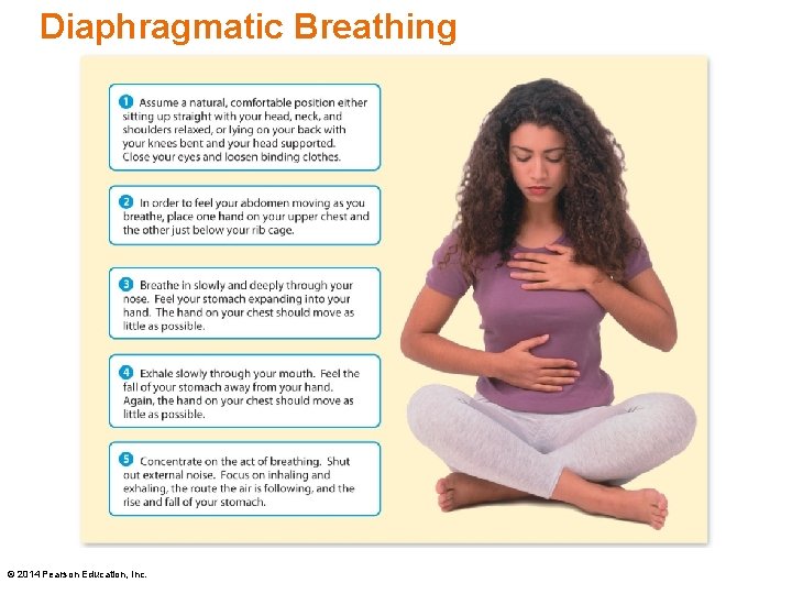 Diaphragmatic Breathing © 2014 Pearson Education, Inc. 