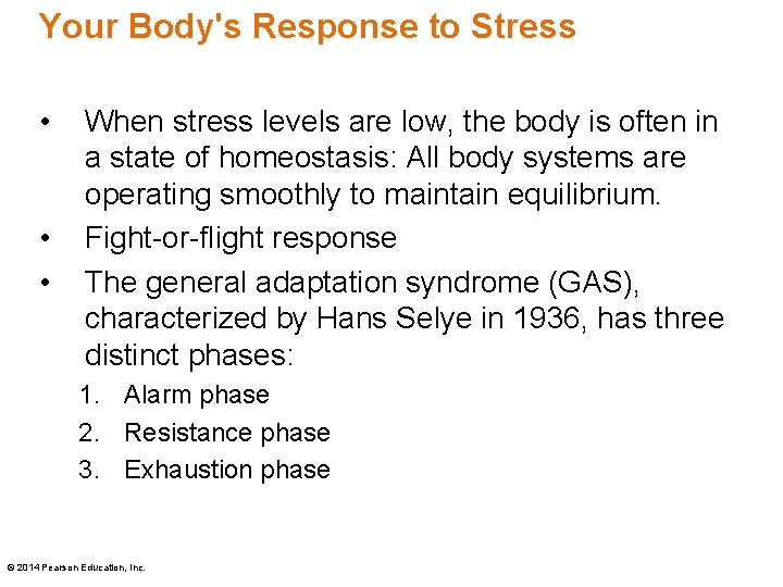 Your Body's Response to Stress • • • When stress levels are low, the