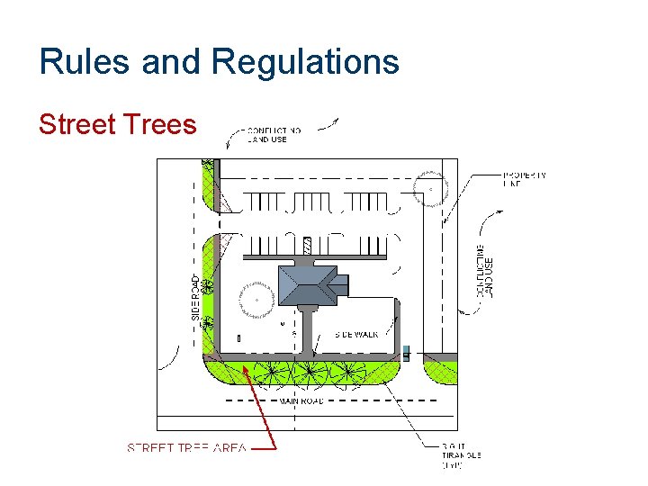 Rules and Regulations Street Trees 