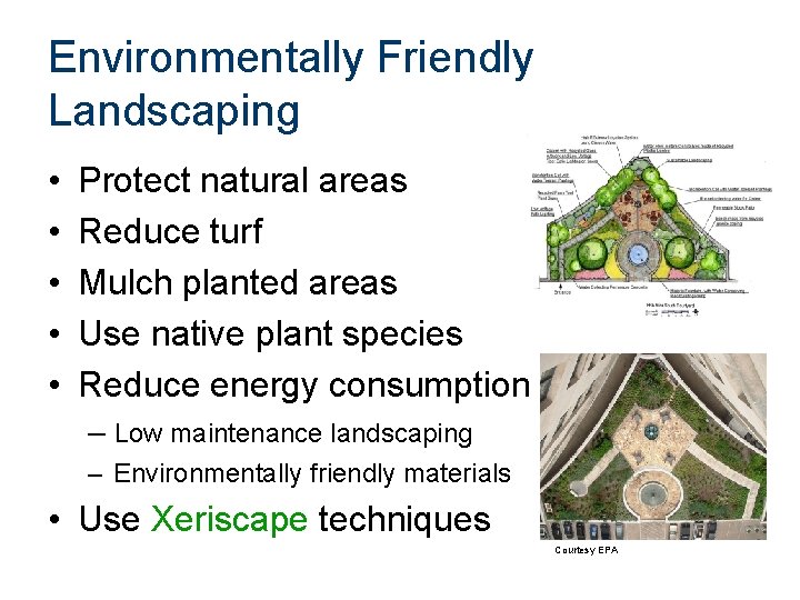 Environmentally Friendly Landscaping • • • Protect natural areas Reduce turf Mulch planted areas