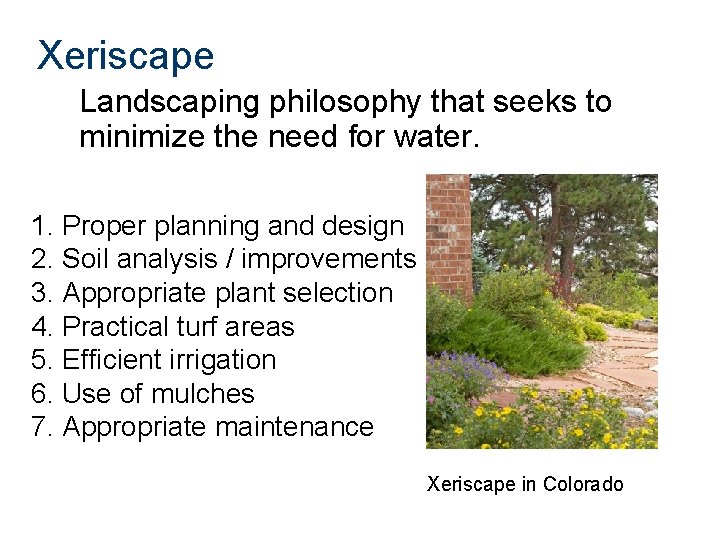 Xeriscape Landscaping philosophy that seeks to minimize the need for water. 1. Proper planning