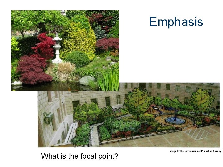 Emphasis What is the focal point? Image by the Environmental Protection Agency 