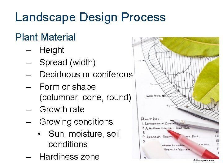 Landscape Design Process Plant Material – – Height Spread (width) Deciduous or coniferous Form