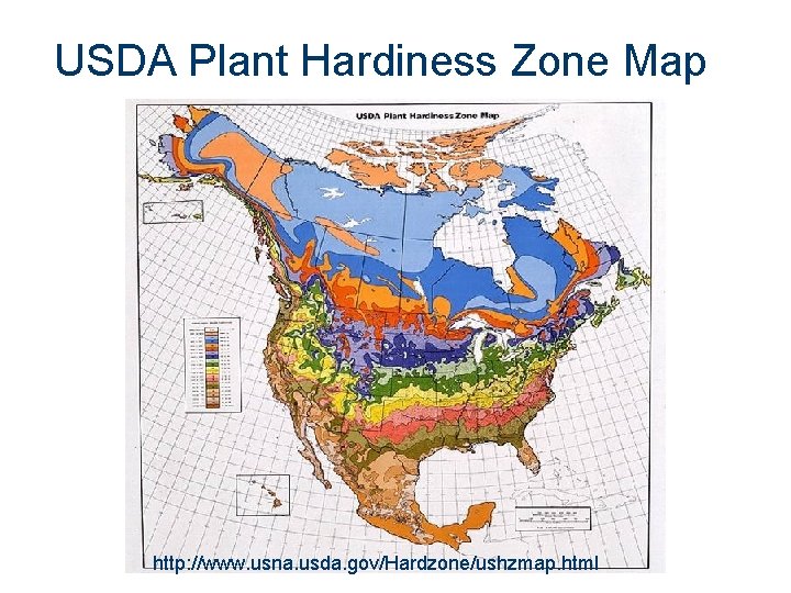 USDA Plant Hardiness Zone Map http: //www. usna. usda. gov/Hardzone/ushzmap. html 