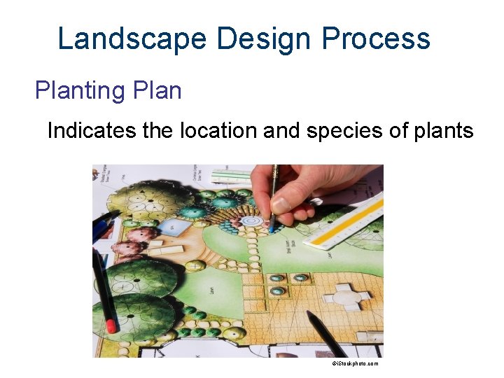 Landscape Design Process Planting Plan Indicates the location and species of plants ©i. Stockphoto.