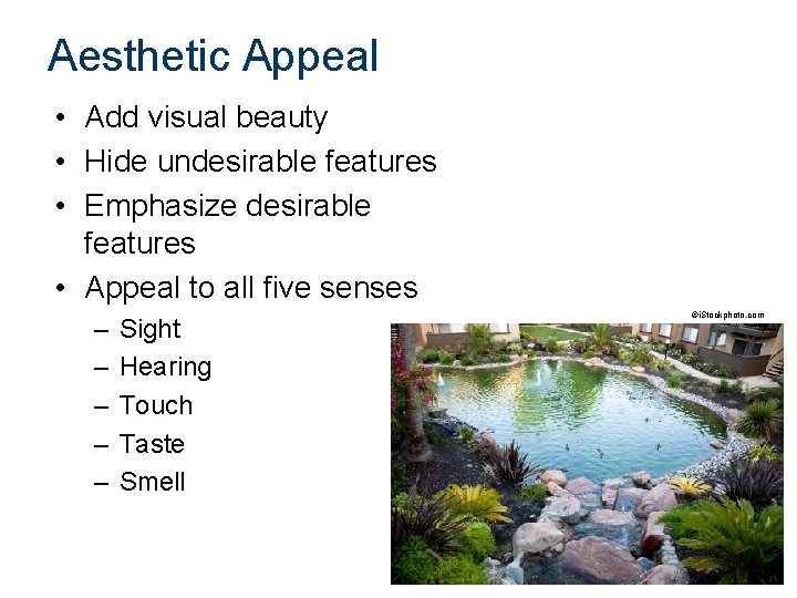Aesthetic Appeal • Add visual beauty • Hide undesirable features • Emphasize desirable features