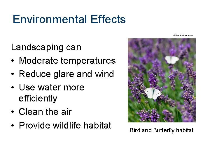 Environmental Effects ©i. Stockphoto. com Landscaping can • Moderate temperatures • Reduce glare and