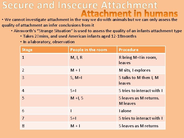 Secure and Insecure Attachment • We cannot investigate attachment in the way we do
