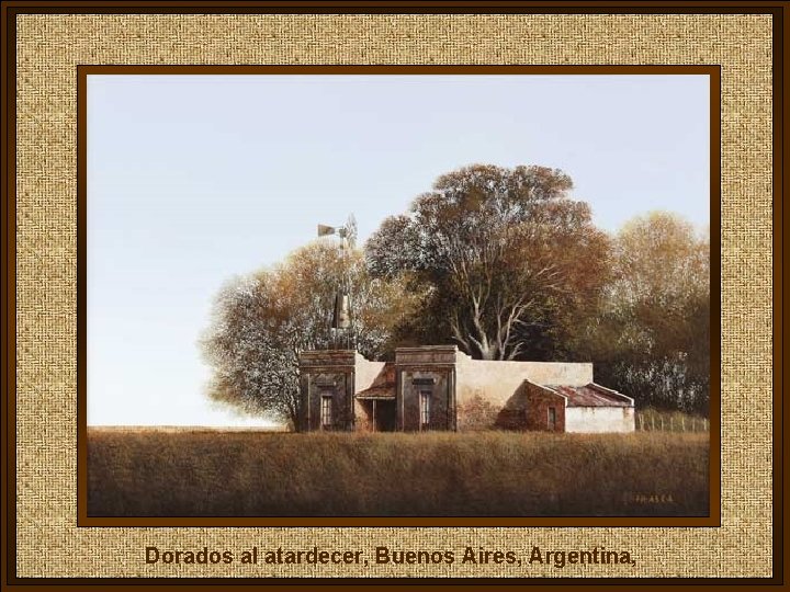 Dorados al atardecer, Buenos Aires, Argentina, 