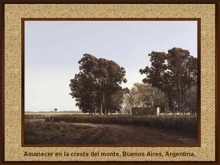 Amanecer en la cresta del monte, Buenos Aires, Argentina, 