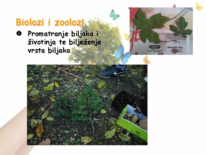 Biolozi i zoolozi | Promatranje biljaka i životinja te bilježenje vrsta biljaka 