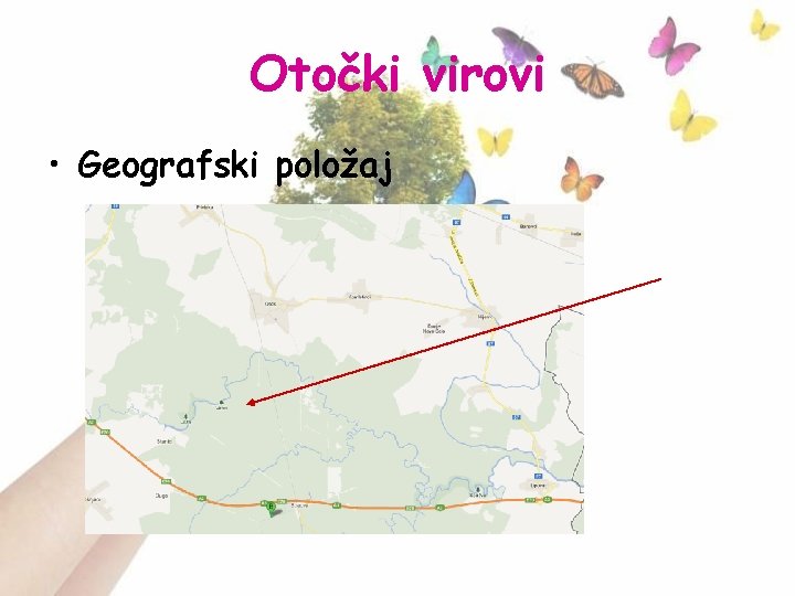 Otočki virovi • Geografski položaj 