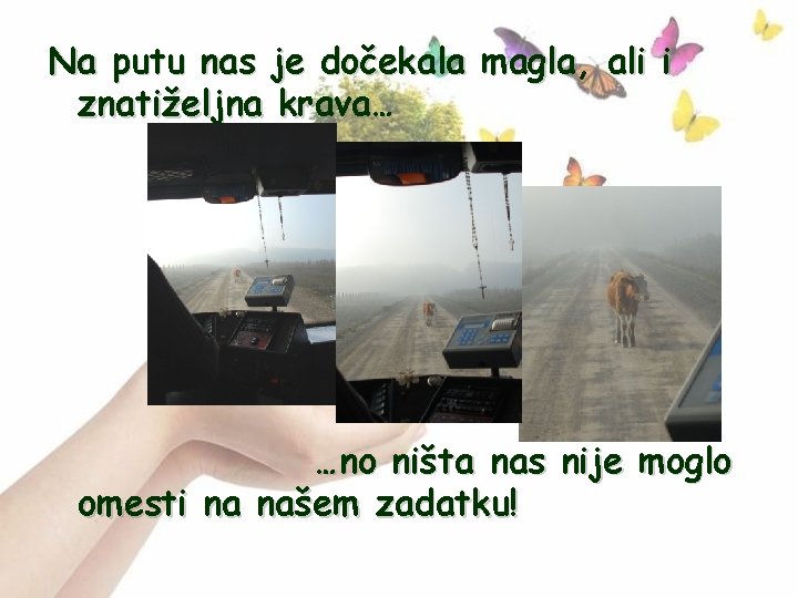 Na putu nas je dočekala magla, ali i znatiželjna krava… …no ništa nas nije