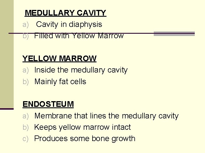 MEDULLARY CAVITY a) Cavity in diaphysis b) Filled with Yellow Marrow YELLOW MARROW a)