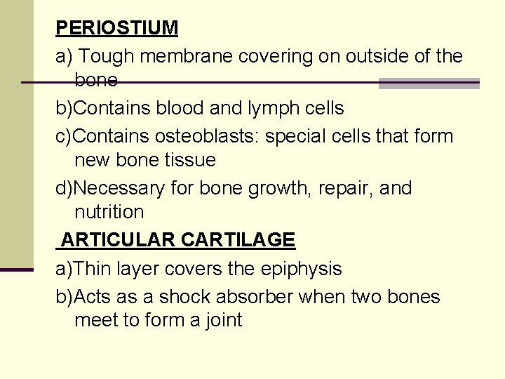 PERIOSTIUM a) Tough membrane covering on outside of the bone b)Contains blood and lymph