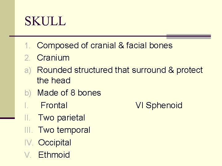 SKULL 1. Composed of cranial & facial bones 2. Cranium a) Rounded structured that