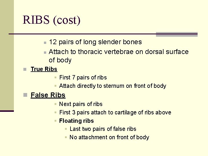 RIBS (cost) n n 12 pairs of long slender bones Attach to thoracic vertebrae