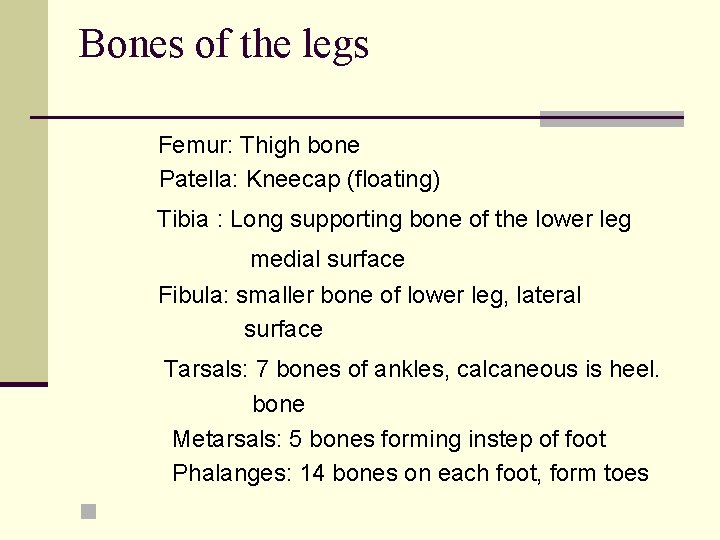 Bones of the legs Femur: Thigh bone Patella: Kneecap (floating) Tibia : Long supporting