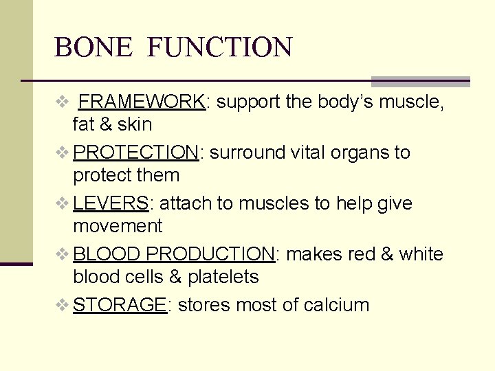 BONE FUNCTION v FRAMEWORK: support the body’s muscle, fat & skin v PROTECTION: surround