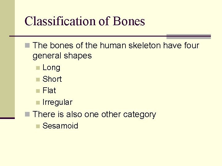 Classification of Bones n The bones of the human skeleton have four general shapes