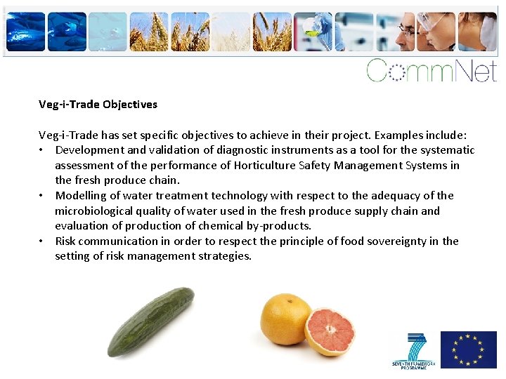 Veg-i-Trade Objectives Veg-i-Trade has set specific objectives to achieve in their project. Examples include: