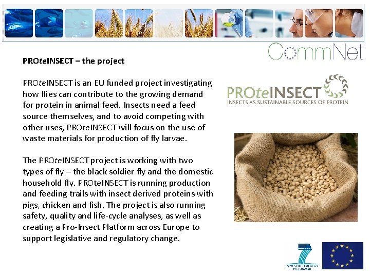 PROte. INSECT – the project PROte. INSECT is an EU funded project investigating how