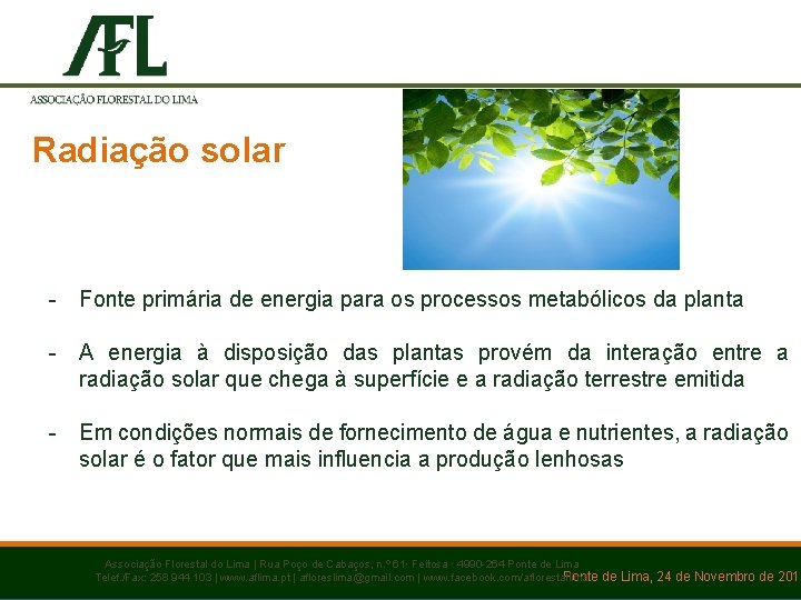 Radiação solar - Fonte primária de energia para os processos metabólicos da planta -