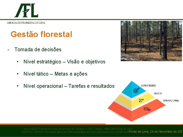 Gestão florestal - Tomada de decisões • Nível estratégico – Visão e objetivos •