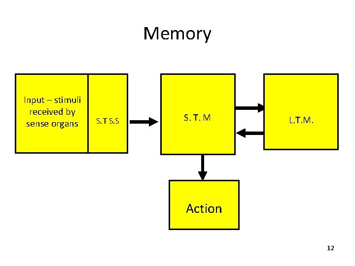 Memory Input – stimuli received by sense organs S. T S. S S. T.