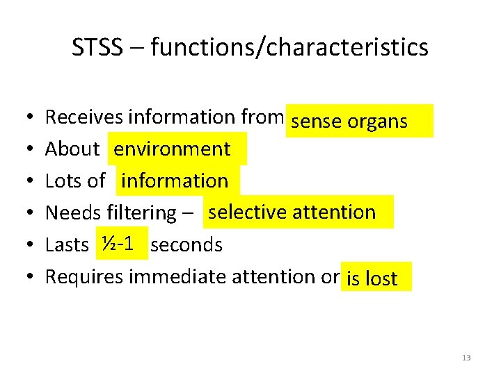 STSS – functions/characteristics • • • Receives information from sense organs About environment Lots