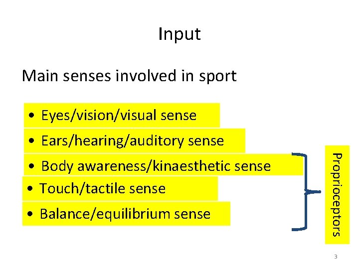 Input Main senses involved in sport • Eyes/vision/visual sense • Ears/hearing/auditory sense • Balance/equilibrium