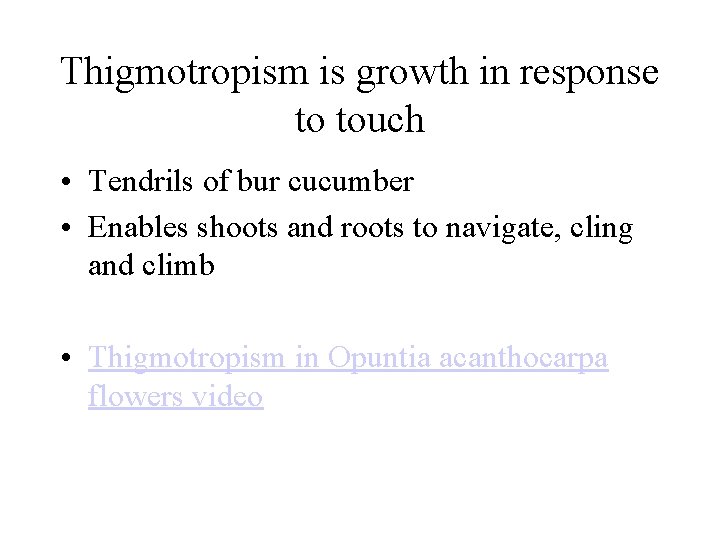 Thigmotropism is growth in response to touch • Tendrils of bur cucumber • Enables