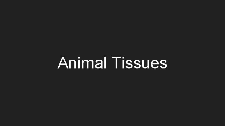 Animal Tissues 