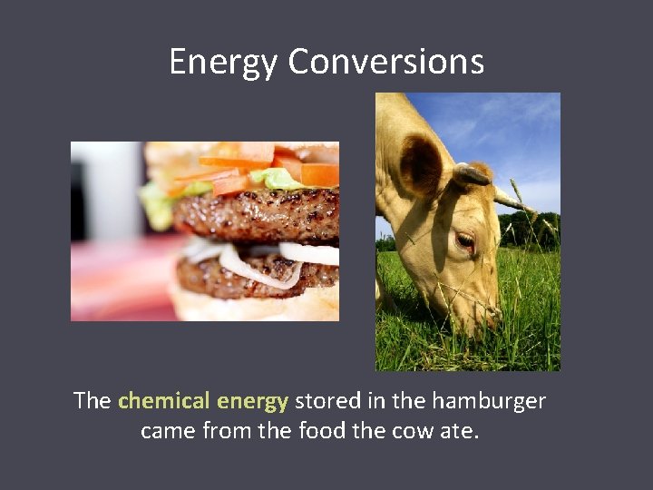 Energy Conversions The chemical energy stored in the hamburger came from the food the