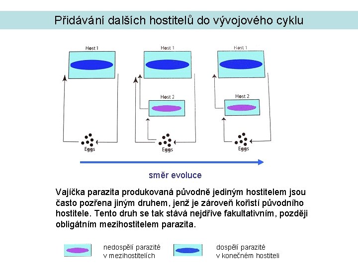 Přidávání dalších hostitelů do vývojového cyklu směr evoluce Vajíčka parazita produkovaná původně jediným hostitelem