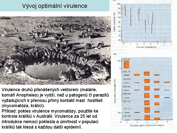 Vývoj optimální virulence Virulence druhů přenášených vektorem (malárie, komáři Anopheles) je vyšší, než u