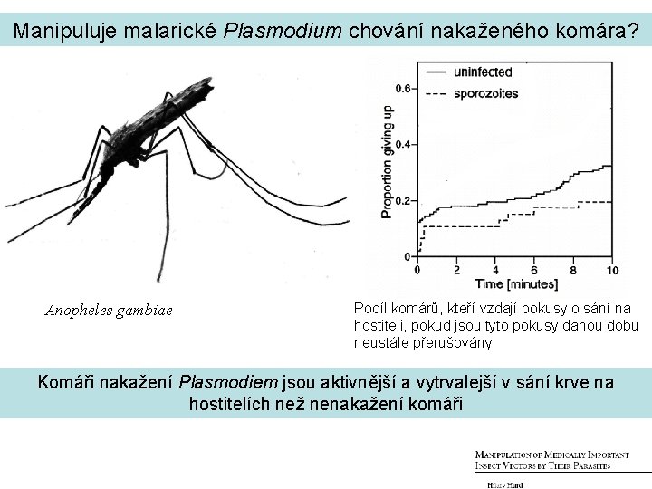 Manipuluje malarické Plasmodium chování nakaženého komára? Anopheles gambiae Podíl komárů, kteří vzdají pokusy o