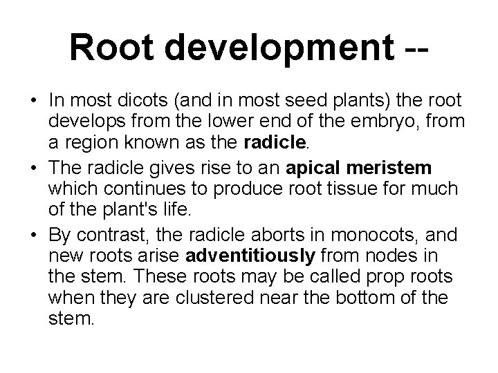 Root development - • In most dicots (and in most seed plants) the root