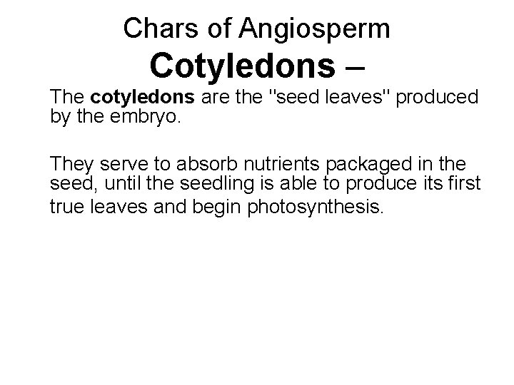 Chars of Angiosperm Cotyledons – The cotyledons are the "seed leaves" produced by the