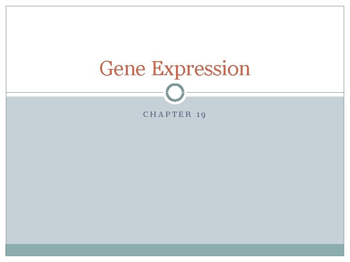 Gene Expression CHAPTER 19 